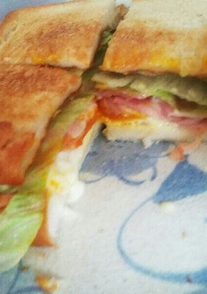 ホットサンドウィッチ-レシピのメイン写真