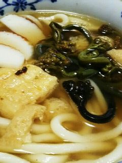 手軽に~山菜うどん-レシピのメイン写真