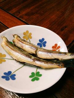 沖キスの塩焼き-レシピのメイン写真