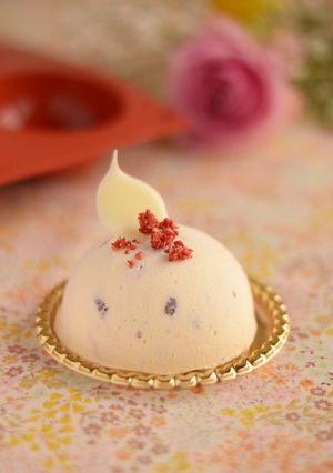 バニラ＆ベリーのドームアイスケーキ-レシピのメイン写真