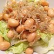 春キャベツと大豆の温サラダ