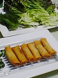 まきまき春巻♪-レシピのメイン写真
