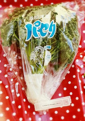 パセリの保存法　フレッシュなまま☆-レシピのメイン写真