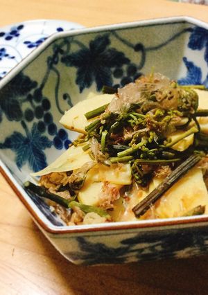 たけのことわらびと豚肉のピリ辛土佐煮-レシピのメイン写真