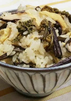 山菜♧わらびの炊き込みご飯♪-レシピのメイン写真