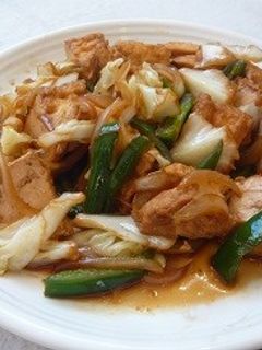 厚揚げがメインのおかず vegan-レシピのメイン写真
