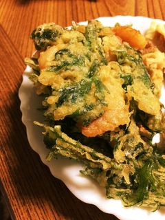 むき海老と春菊のかき揚げ-レシピのメイン写真