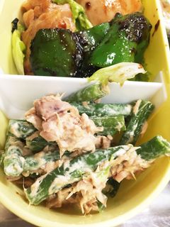 お弁当に♡インゲンとツナ缶マヨネーズあえ-レシピのメイン写真