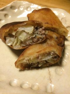 ゆかりで味付け春巻き-レシピのメイン写真