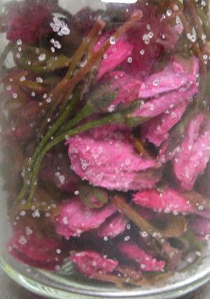 簡単すぎ!桜の花の塩漬け-レシピのメイン写真