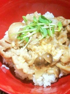 豚の玉子丼-レシピのメイン写真