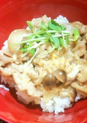 豚の玉子丼-レシピのメイン写真