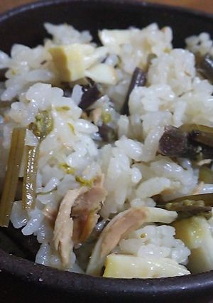 シーチキン入り山菜炊き込みご飯-レシピのメイン写真