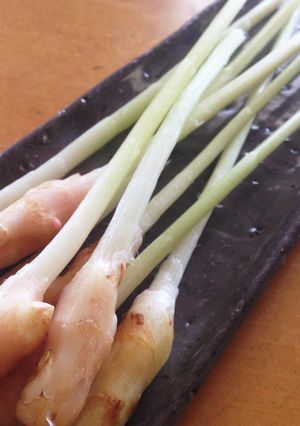 ◎軸まで食べたい人へ☆谷中生姜の皮むき◎-レシピのメイン写真