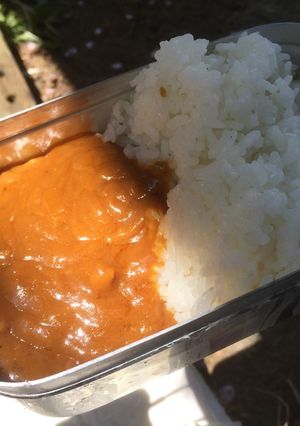 小メスティンでアウトドア　カレー-レシピのメイン写真