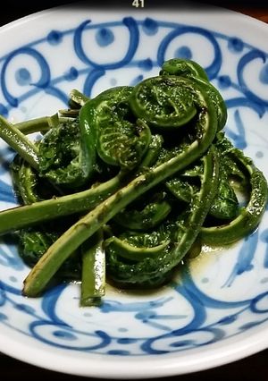 簡単♪こごみの油炒め-レシピのメイン写真