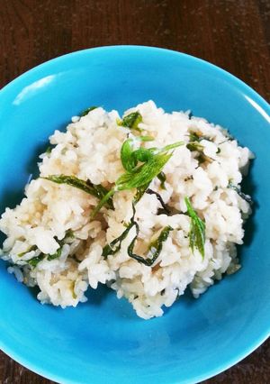今が旬!!!山菜コシアブラの簡単ご飯!!-レシピのメイン写真