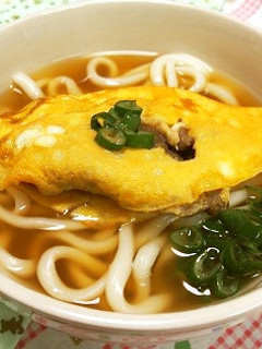 だし玉子肉包みうどん-レシピのメイン写真