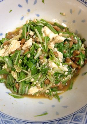 栄養オイルをインして水菜と納豆の豆腐和え-レシピのメイン写真