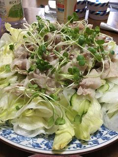 野菜もりもり☆冷しゃぶ-レシピのメイン写真