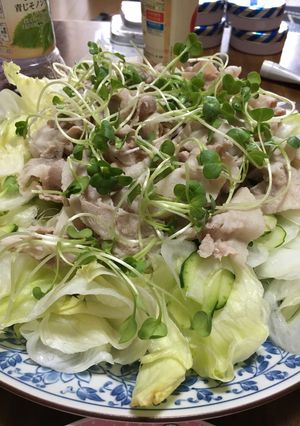 野菜もりもり☆冷しゃぶ-レシピのメイン写真