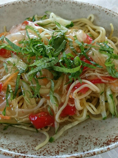 さっぱり夏の餡掛け焼きそば-レシピのメイン写真