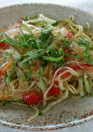 さっぱり夏の餡掛け焼きそば-レシピのメイン写真