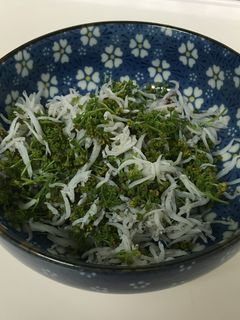 山椒の花は☆しらす干しで-レシピのメイン写真