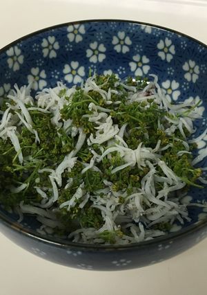 山椒の花は☆しらす干しで-レシピのメイン写真
