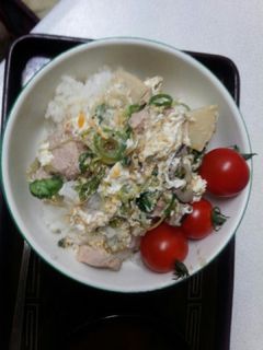 血管プラークダイエット747(豚ヒレ丼)-レシピのメイン写真