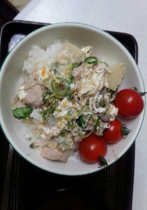 血管プラークダイエット747(豚ヒレ丼)-レシピのメイン写真
