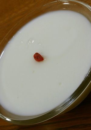 杏仁豆腐（簡単版）-レシピのメイン写真