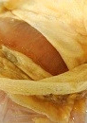 漬けるのも焼くのも超簡単時短鰆の味噌漬け-レシピのメイン写真