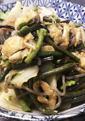 たけのこと山菜の煮つけ-レシピのメイン写真
