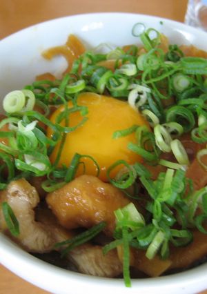 鳥胸肉の南蛮漬け丼-レシピのメイン写真