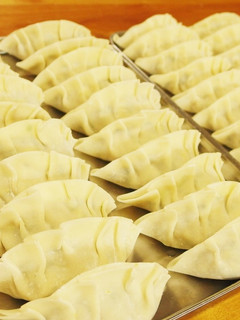 野菜たっぷり餃子☆-レシピのメイン写真