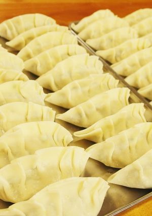 野菜たっぷり餃子☆-レシピのメイン写真
