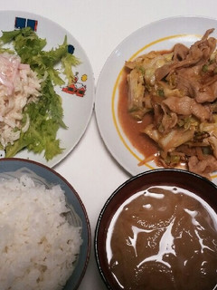 豚肉とキャベツの味噌炒め 大根サラダ-レシピのメイン写真