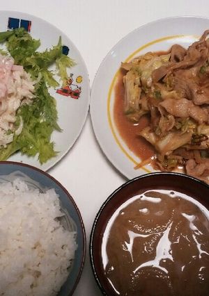 豚肉とキャベツの味噌炒め　大根サラダ-レシピのメイン写真