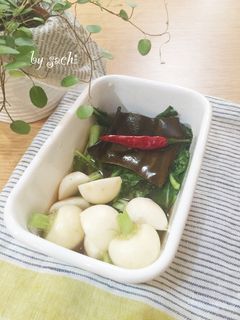 【作り置き】小かぶの甘酢漬け-レシピのメイン写真