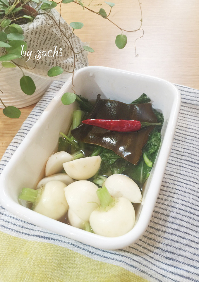 【作り置き】小かぶの甘酢漬け-レシピのメイン写真
