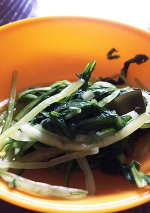 壬生菜の漬物(覚書)-レシピのメイン写真