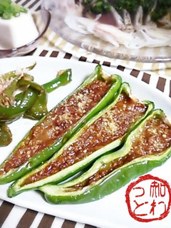 万願寺唐辛子のミートソースつめ-レシピのメイン写真