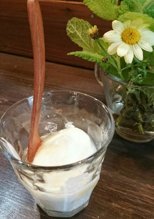 ミントシロップでキャラメル味ヨーグルト-レシピのメイン写真