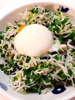 ソクできるしらす丼!朝ごはんやランチに。-レシピのメイン写真