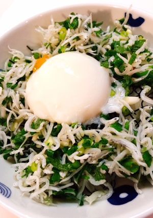 ソクできるしらす丼！朝ごはんやランチに。-レシピのメイン写真
