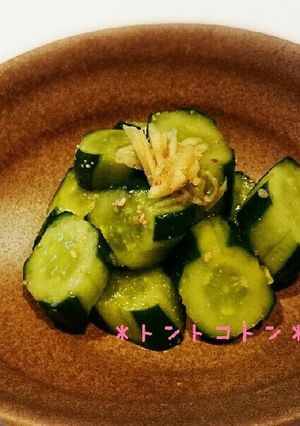 ★食べ過ぎ注意！キュウリの浅漬け★-レシピのメイン写真