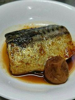 圧力鍋で鯖の醤油煮-レシピのメイン写真
