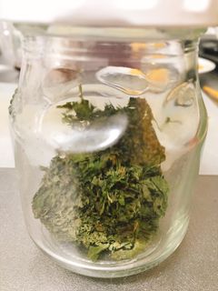 冷蔵庫でほっとくだけ!乾燥大葉(^^)-レシピのメイン写真