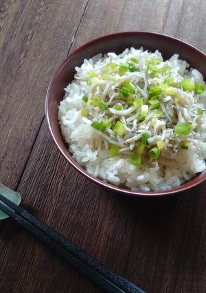 ごま油がいい感じ～簡単しらす丼ぶり♪-レシピのメイン写真